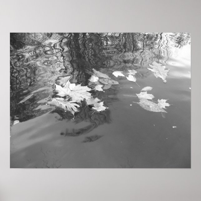 Poster Ruisseau (Devant)