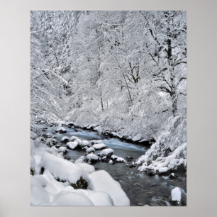 Poster ruisseau enneigé blanc pittoresque, Oregon