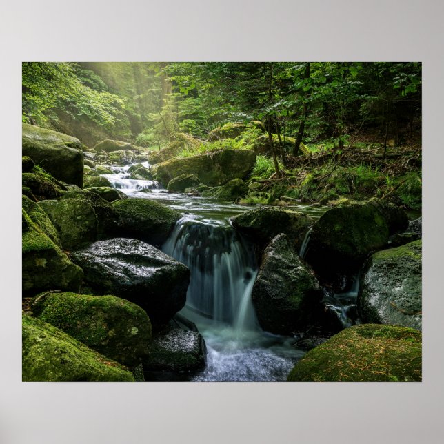 Poster Ruisseau, Roches Mossy Vertes, Nature forestière (Devant)