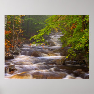 Poster Ruisseaux le long du sentier des Appalaches