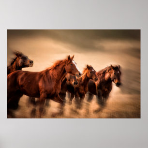 Poster running horses, blur and flying manes