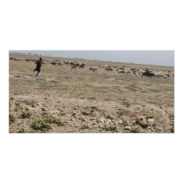 Poster Running the Serengeti (Devant)