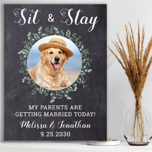 Poster Russe Bienvenue Personnalisé Chien Photo Animal de