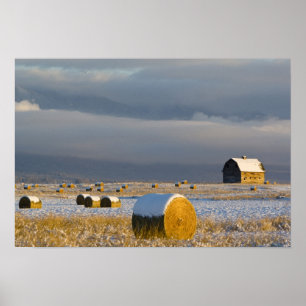 Poster Rustic barn and hay bales after a fresh snow 3