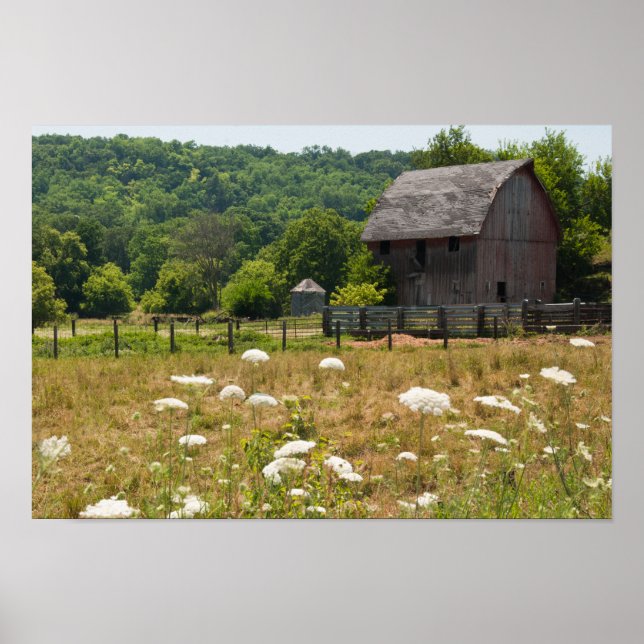 Poster Rustic Barn et la dentelle de la reine Anne (Devant)