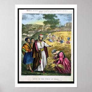 Poster Ruth dans le domaine de Boaz, d'une bible imprimée