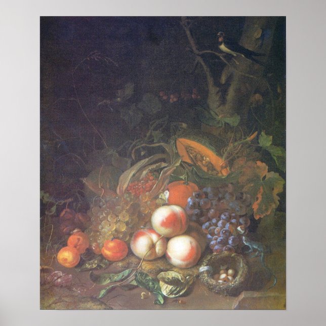 Poster Ruysch - Fruits, Vie morte avec nid d'oiseau (Devant)