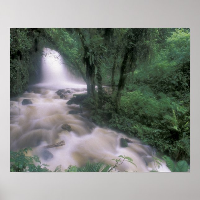 Poster SA, Pérou, S.H. Machu Picchu, Cascade et nuage (Devant)