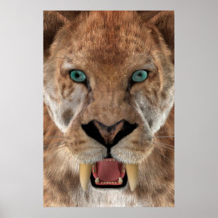 Poster Saber Toothed Ttiger ou Smilodon