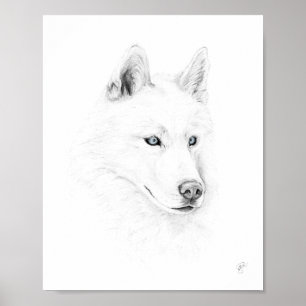 Poster Saber Un Husky Sibérien Dessinant Des Yeux Bleus