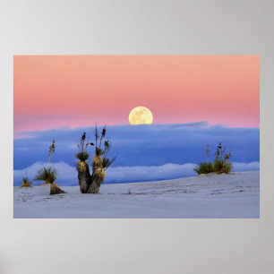 POSTER SABLE BLANC