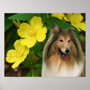 Poster Sable Collie Jaune Primrose Chien Art