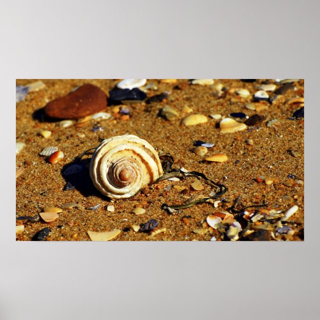 Poster sable de patonga (Devant)