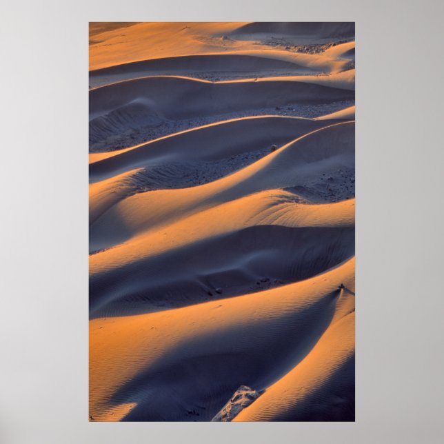 Poster Sable Dune (Devant)