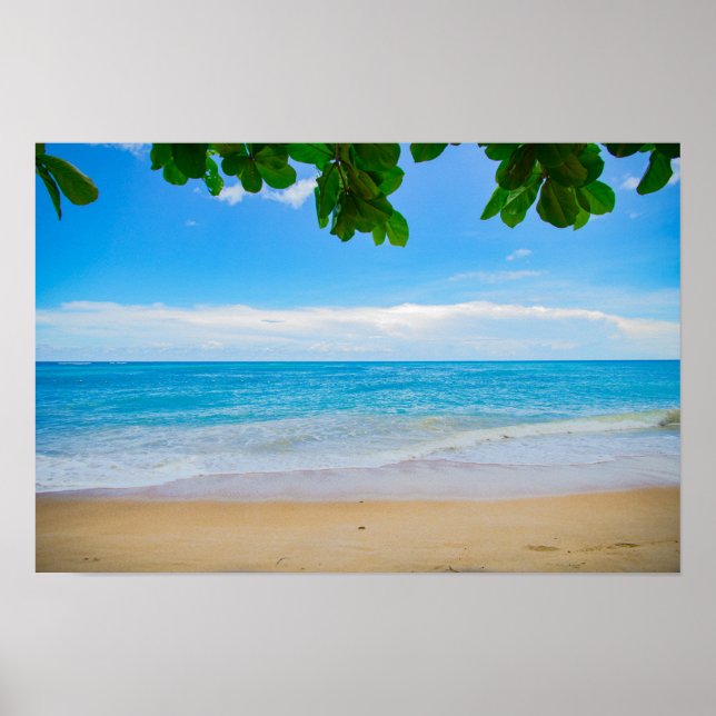 Poster Sable noir du Tropical (Devant)