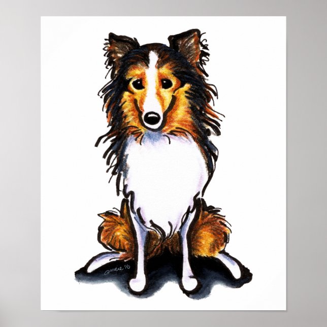Poster Sable Sheltie Shetland Sheepdog Assis Joli (Devant)