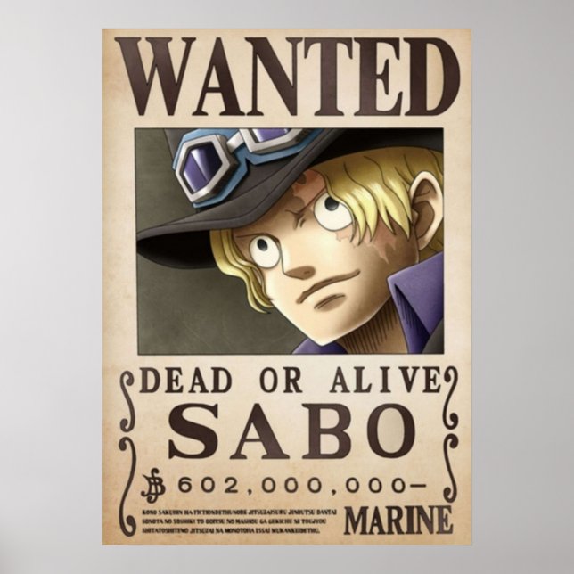 Poster Sabo voulait