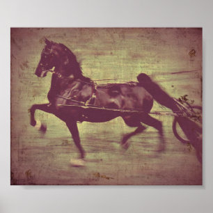 Poster Saddlebred Song