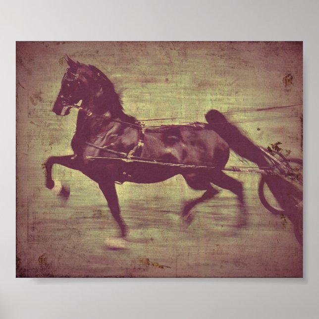Poster Saddlebred Song (Devant)