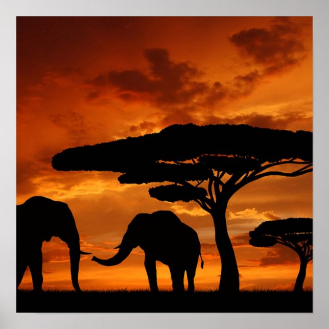 Poster Safari Baobab africain silhouette d'éléphant (Devant)