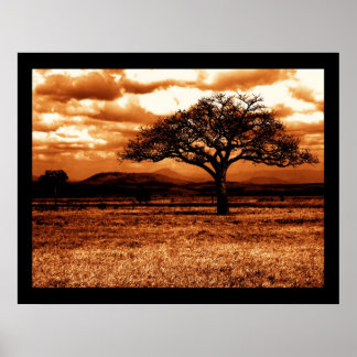 Poster Safari tanzanien