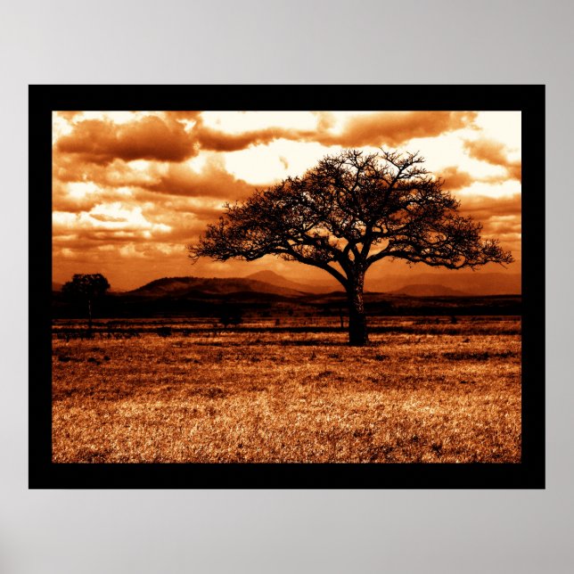 Poster Safari tanzanien (Devant)