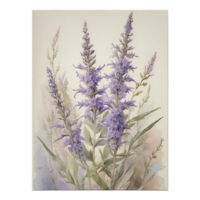 Poster Sage russe (Devant)