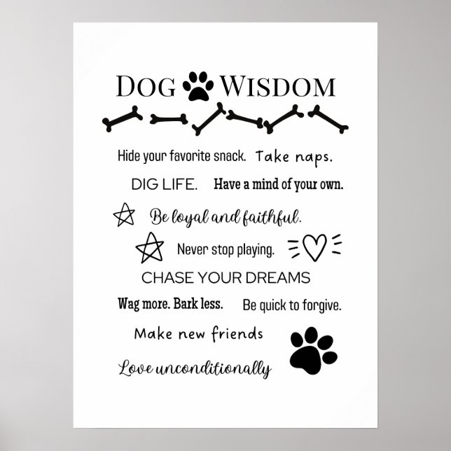 Poster Sagesse du chien (Devant)