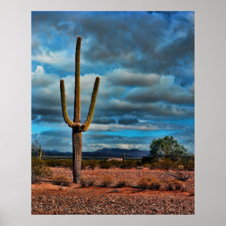 Poster Saguaro