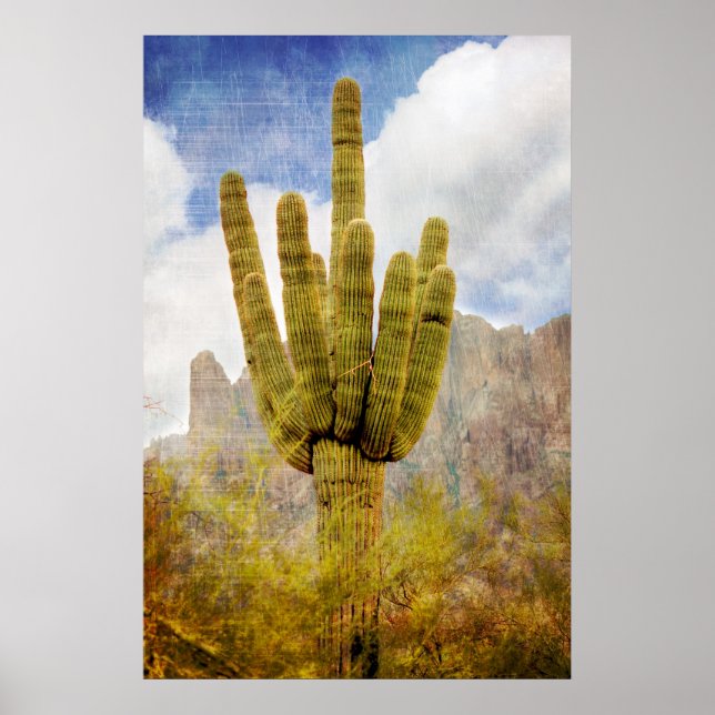 Poster Saguaro Cactus (Devant)
