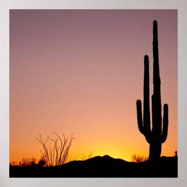 Poster Saguaro Cactus au coucher du soleil (Devant)