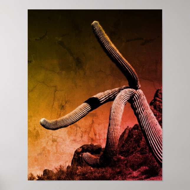 Poster Saguaro Cactus Photographie d'art en style rustiqu (Devant)