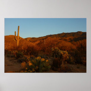 Poster Saguaro Sunset I Arizona Désert Paysage