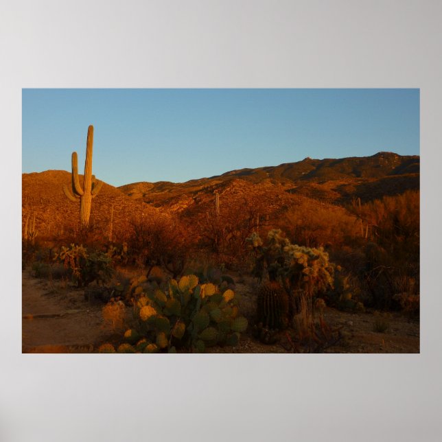 Poster Saguaro Sunset I Arizona Désert Paysage (Devant)