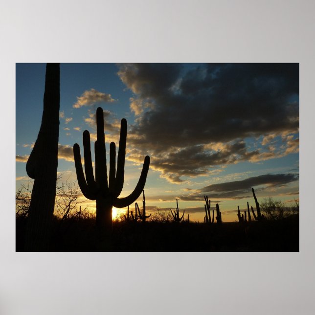Poster Saguaro Sunset II Arizona (Devant)