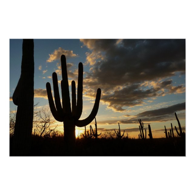 Poster Saguaro Sunset II Arizona (Devant)
