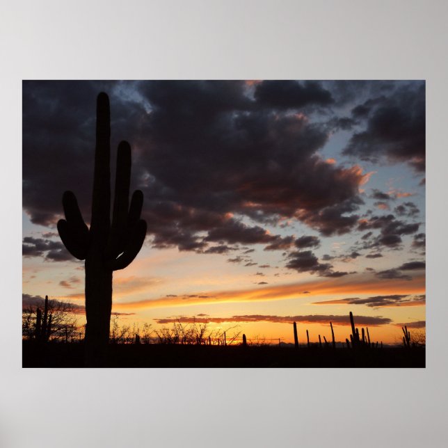 Poster Saguaro Sunset III Arizona Desert Paysage (Devant)