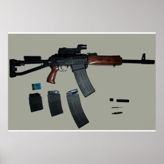 Poster Saiga 12
