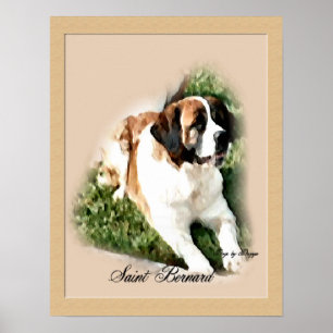 Poster Saint Bernard Art
