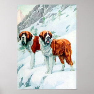 Poster Saint Bernards sur une illustration de montagne en