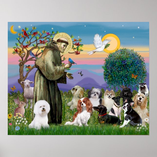 Poster Saint François avec 10 Chiens (Devant)