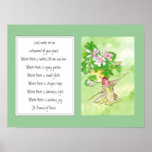 Poster Saint François d'Assise, Fleur des colibris de pri