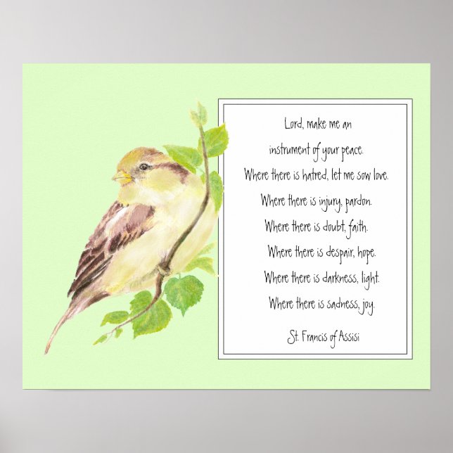 Poster Saint François d'Assise, Oiseau du Bruant (Devant)