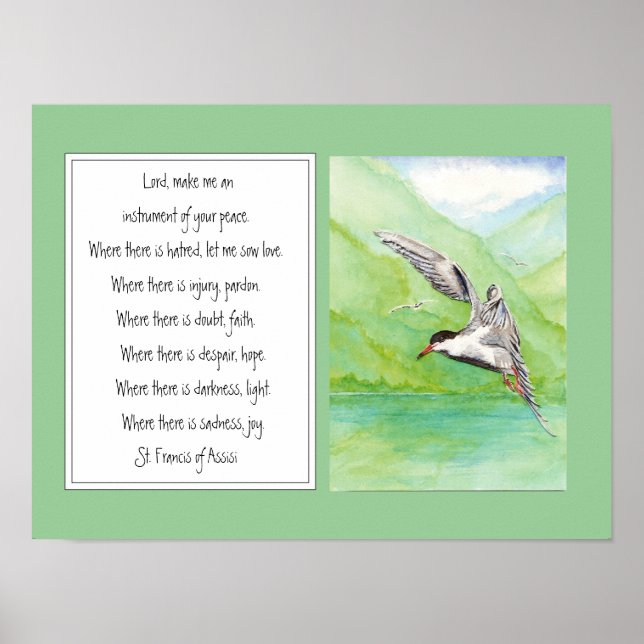 Poster Saint François d'Assise Prière Oiseau commun de st (Devant)