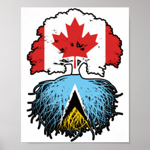 Poster Sainte-Lucie Sainte-Lucie Canadian Canada Tree Roo