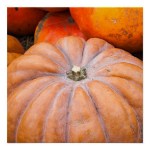 Poster Saison citrouille
