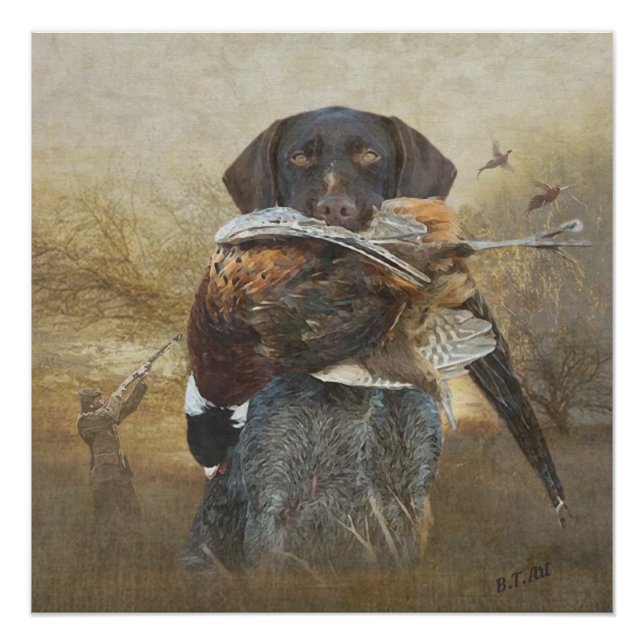 Poster Saison de chasse, Allemand À poils durs Pointer Ta (Devant)