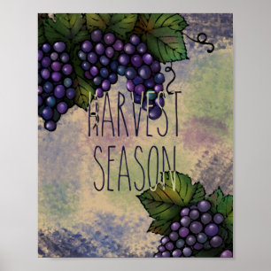 Poster Saison de récolte   Raisins pourpres