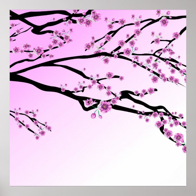 Poster Sakura aux fleurs de cerisier pourpre (Devant)