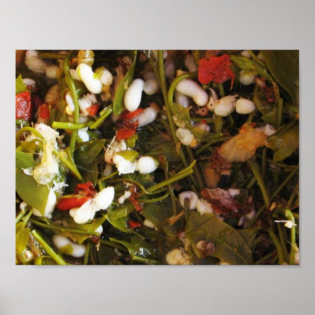 Poster Salade d'oeufs de la fourmi rouge... Thai Street F (Devant)